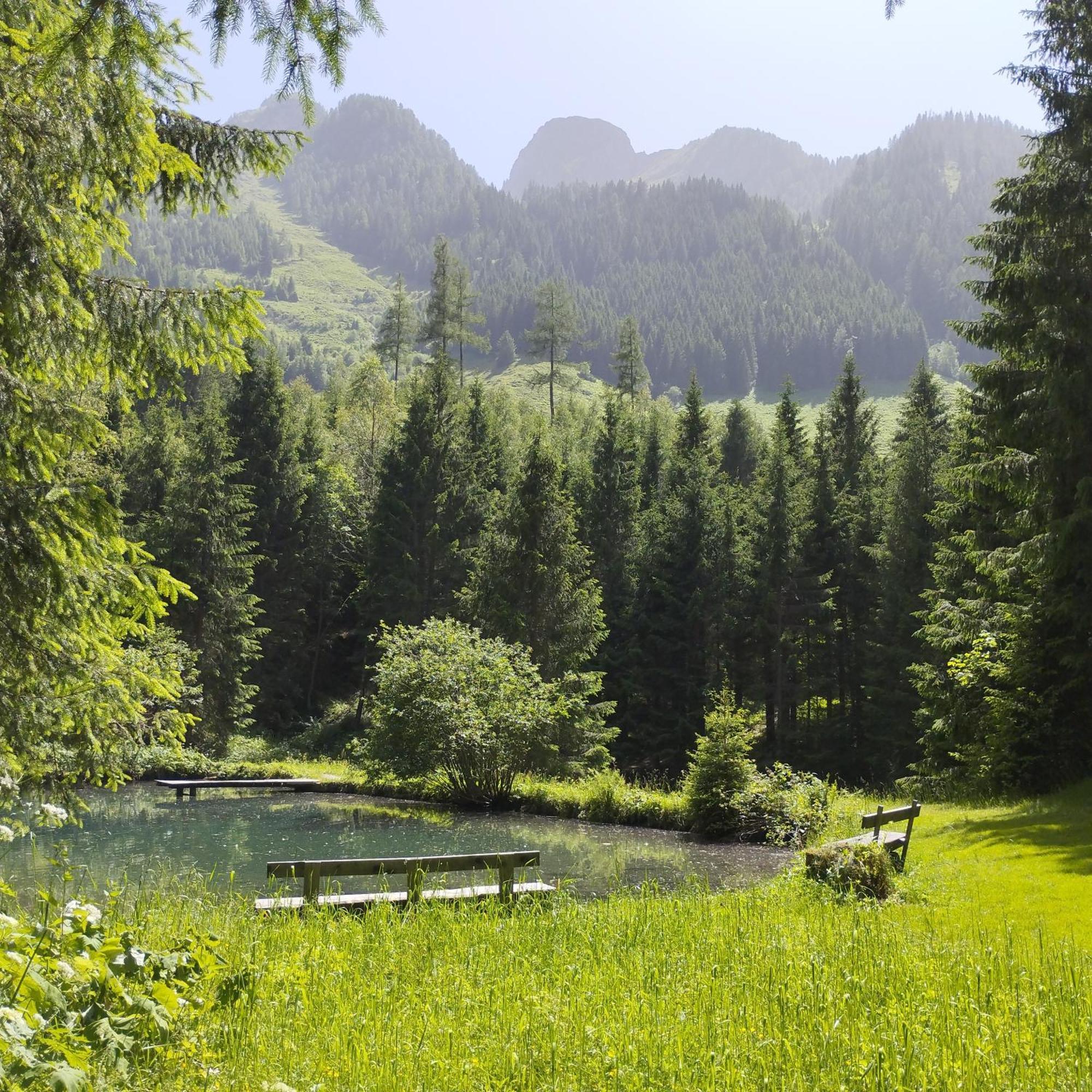 Pension Andrea Fusch an der Grossglocknerstrasse エクステリア 写真
