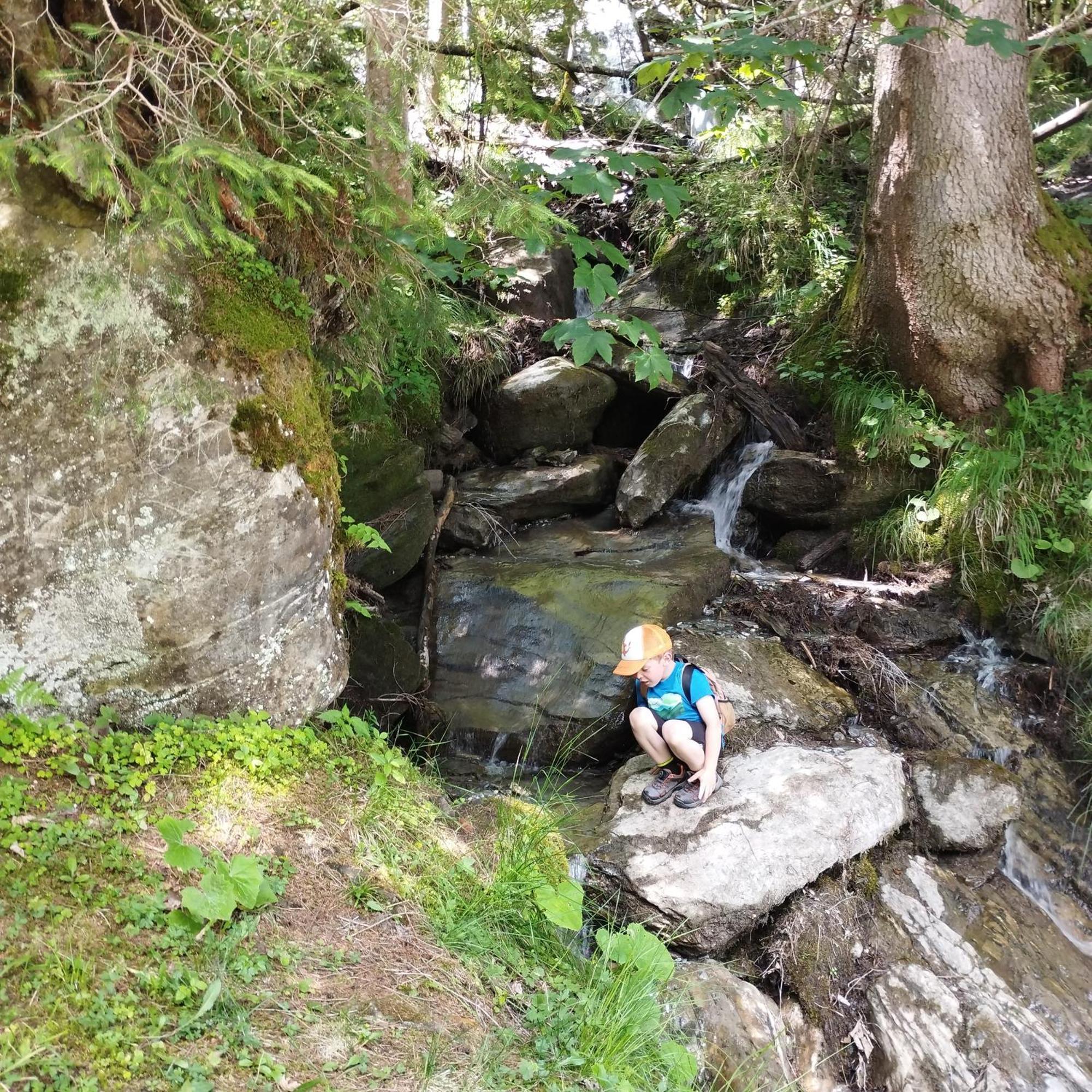 Pension Andrea Fusch an der Grossglocknerstrasse エクステリア 写真