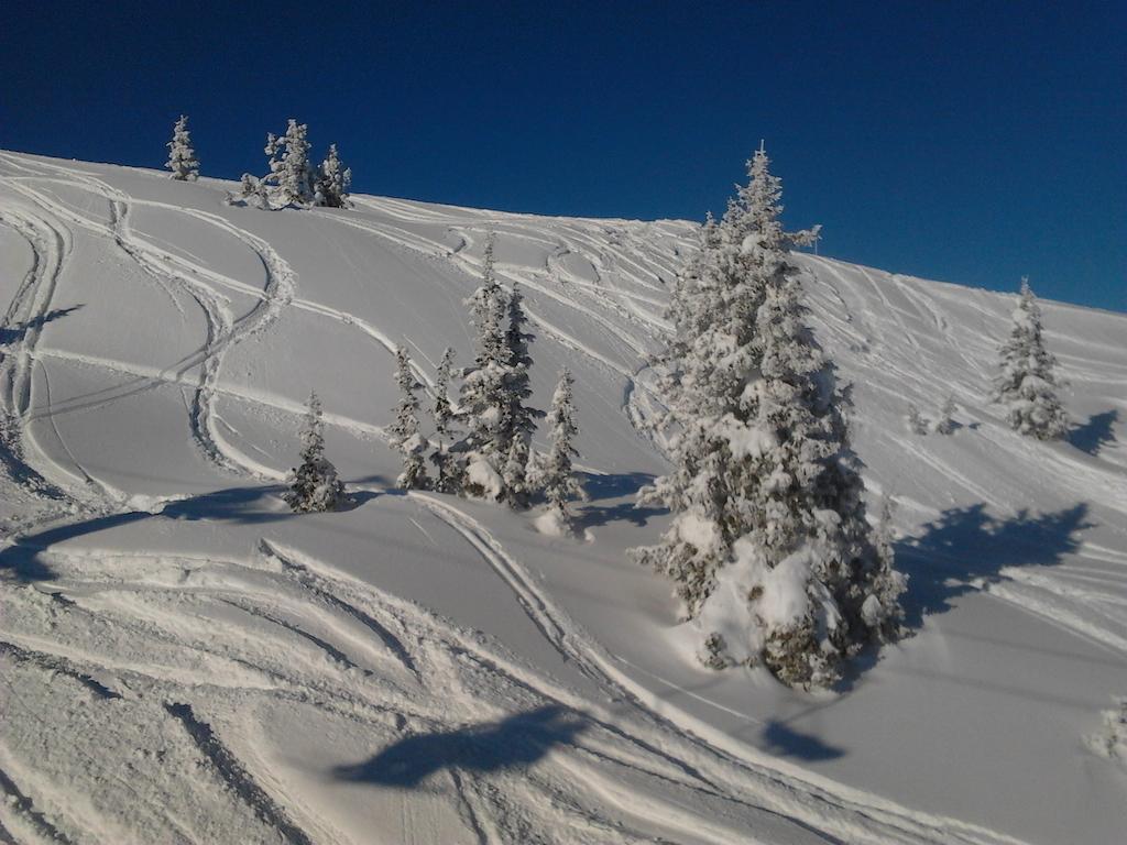 Pension Andrea Fusch an der Grossglocknerstrasse エクステリア 写真